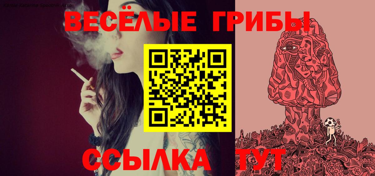 Псилоцибиновые грибы мицелий Кострома